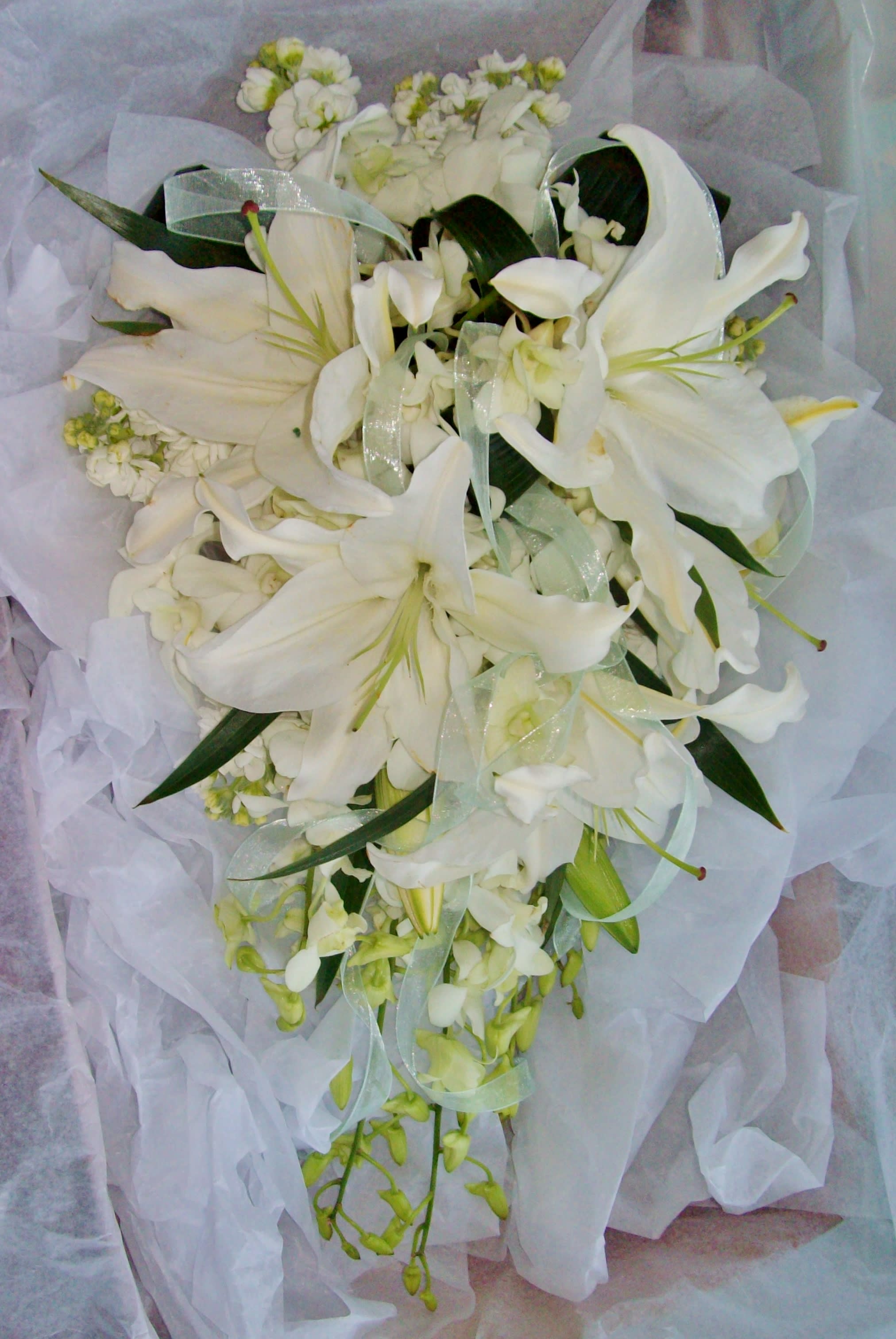 Cascading Lily & Orchid Bouquet Cascading Lily & Orchid Bouquet - This elegant cascading bouquet is composed of White Oriental Lilies, White Dendrobium Orchids, White Stock, and Aspidistra leaf ribbons; lightly accented with sheer ribbon curls throughout the bouquet. This design measures approx. 12"W x 18"L. Please contact the office directly to discuss the different color variations available. All bouquets must be ordered a minimum of 72 hours in advance.