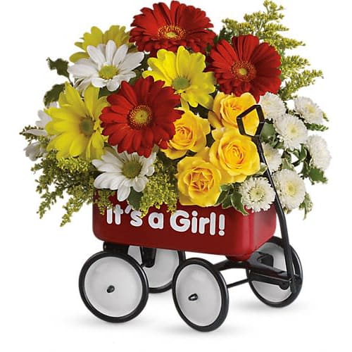 Baby's Wow Wagon by Teleflora - Girl Baby's Wow Wagon by Teleflora - Girl - Talk about the perfect welcome wagon! Available for boys and girls this darling keepsake will be cherished for years. Bright cheerful and ready to "roll" right into the nursery. Pretty yellow spray roses red miniature gerberas and matsumoto asters white and yellow daisy spray chrysanthemums white button spray chrysanthemums and solidago are lovingly arranged in a wagon - the wow factor is now officially off the charts!Approximately 11" W x 11 1/2" H Orientation: All-Around As Shown : T97N400ADeluxe : T97N400BPremium : T97N400C