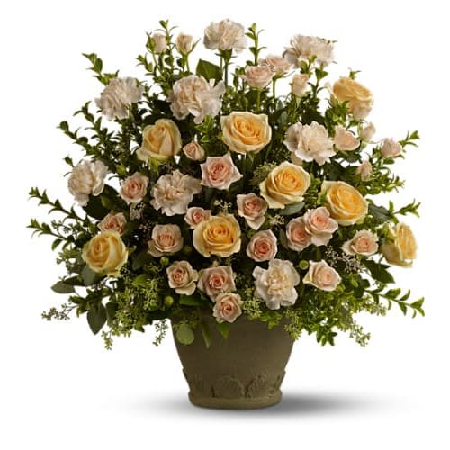 Teleflora's Rose Remembrance Teleflora's Rose Remembrance - To create a truly stunning tribute choose a magnificent fragrant display of peach roses spray roses and carnations - accented with greenery and displayed in a classic Grecian Garden urn. A gracious mark of respect for a life well lived. A mix of fresh peach flowers such as roses spray roses and carnations - accented with greenery - is delivered in a Grecian Garden urn.Approximately 22 3/4" W x 22 1/4" H Orientation: One-Sided As Shown : T221-2A