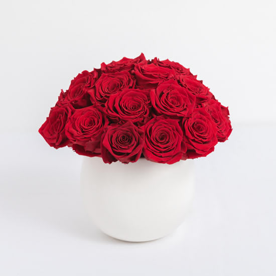 Red Preserved Roses - Lasts a full year - Our Classic Preserved Rose Composition includes 20 beautifully red preserved roses hand-crafted in a decorative white ceramic bowl style vase. The overall design has a modern yet classic appearance and is a versatile design you're sure to love. Our preserved rose compositions make for a memorable gift for you or someone special!
