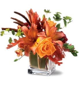 Orange Spice Bq Orange Spice Bq - Subtle with a flicker of fire, this stunning floral arrangement is perfect for a someone who loves life, but also values understatement.