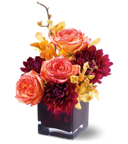 Teleflora's Burgundy Bliss Teleflora's Burgundy Bliss - Bliss indeed! This elegant floral arrangement works design magic, weaving a beguiling tapestry of colors. Who wouldn't love this stunning gift?