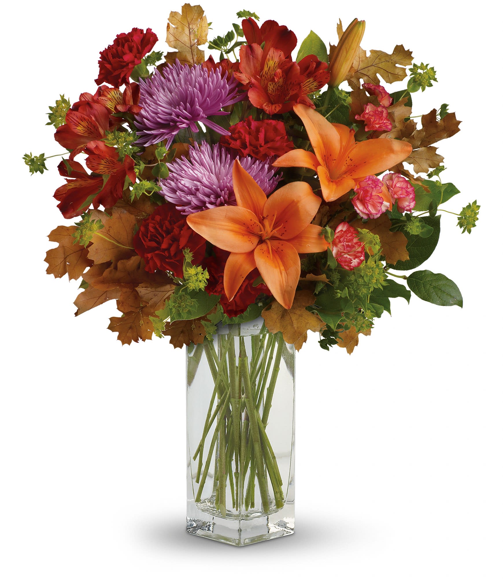 Teleflora's Fall Brights Bouquet Teleflora's Fall Brights Bouquet - This lovely bouquet includes orange asiatic lilies, dark orange alstroemeria, red carnations, orange miniature carnations, lavender disbud chrysanthemums, bupleurum, lemon leaf and oak leaves. Delivered in a beautiful clear Bunch vase. Approximately 17 1/2" W x 20 1/2" H. TFL06-2A