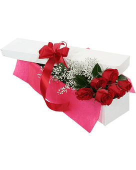DOZEN PREMIUM RED ROSES BOXED - BEAUTIFUL LONG STEMS PREMIUM ROSES IN A BOX WITH FILLER AND ASSORTED GREENS. NICELY ARRANGED IN A ELEGANT WHITE BOX AND DECORATED WITH A LOVELY BOW. PLEASE LET US KNOW IF YOU'D LIKE (RED, WHITE, PINK, OR ASSORTED)