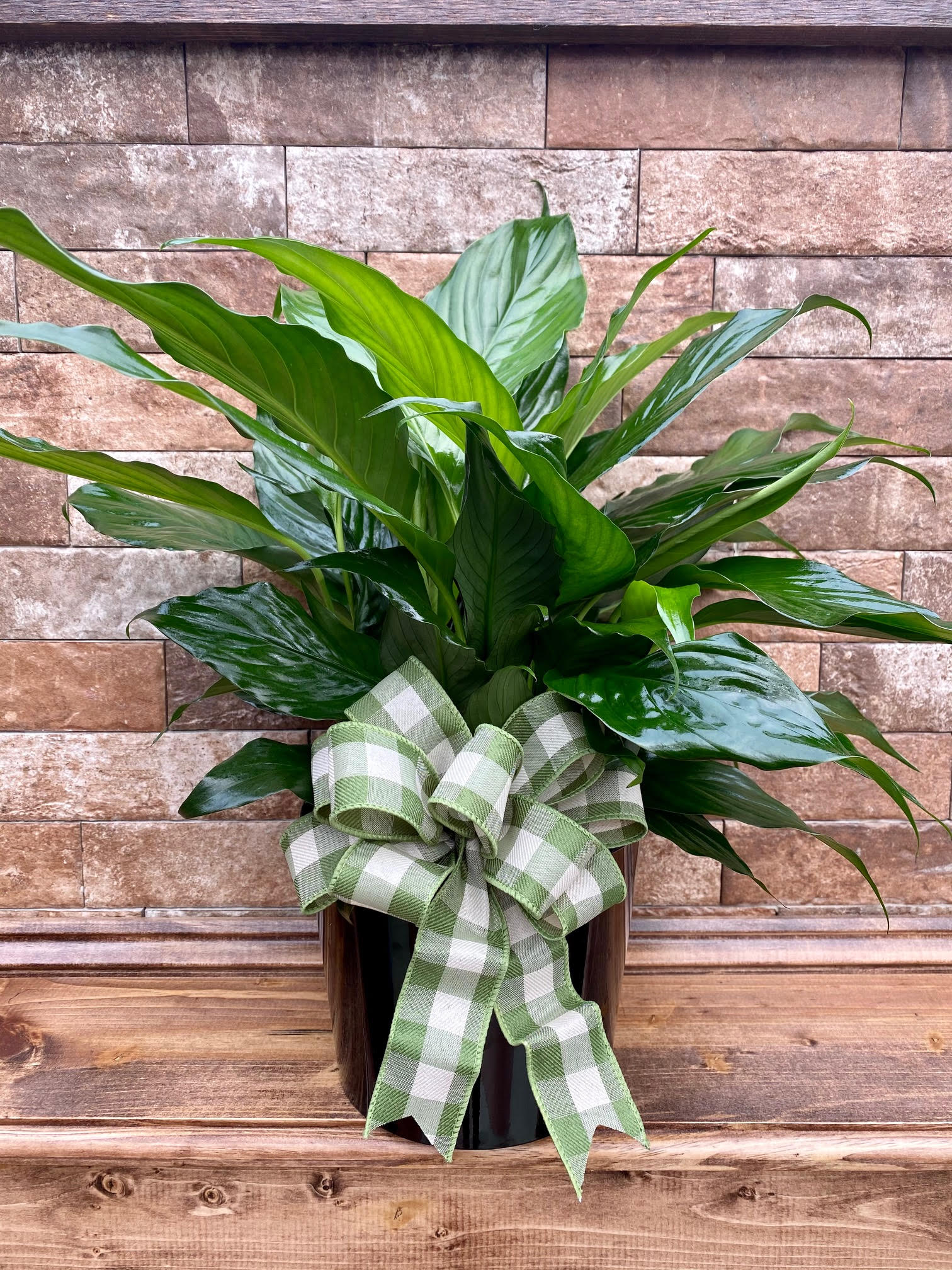 6&quot; Peace Lily  - 6&quot; Peace Lily