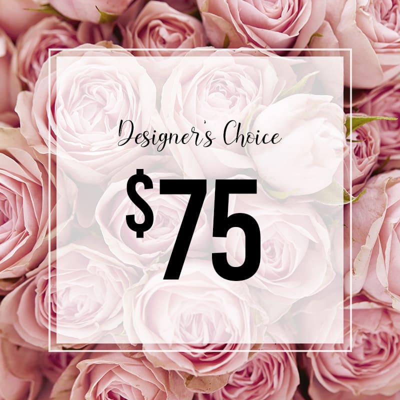 Designer's Choice - 75$ Designer's Choice - 75$ - Designer's Choice - 75$