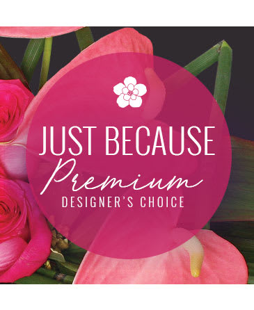 Designer Choice by Lotus Garden Center