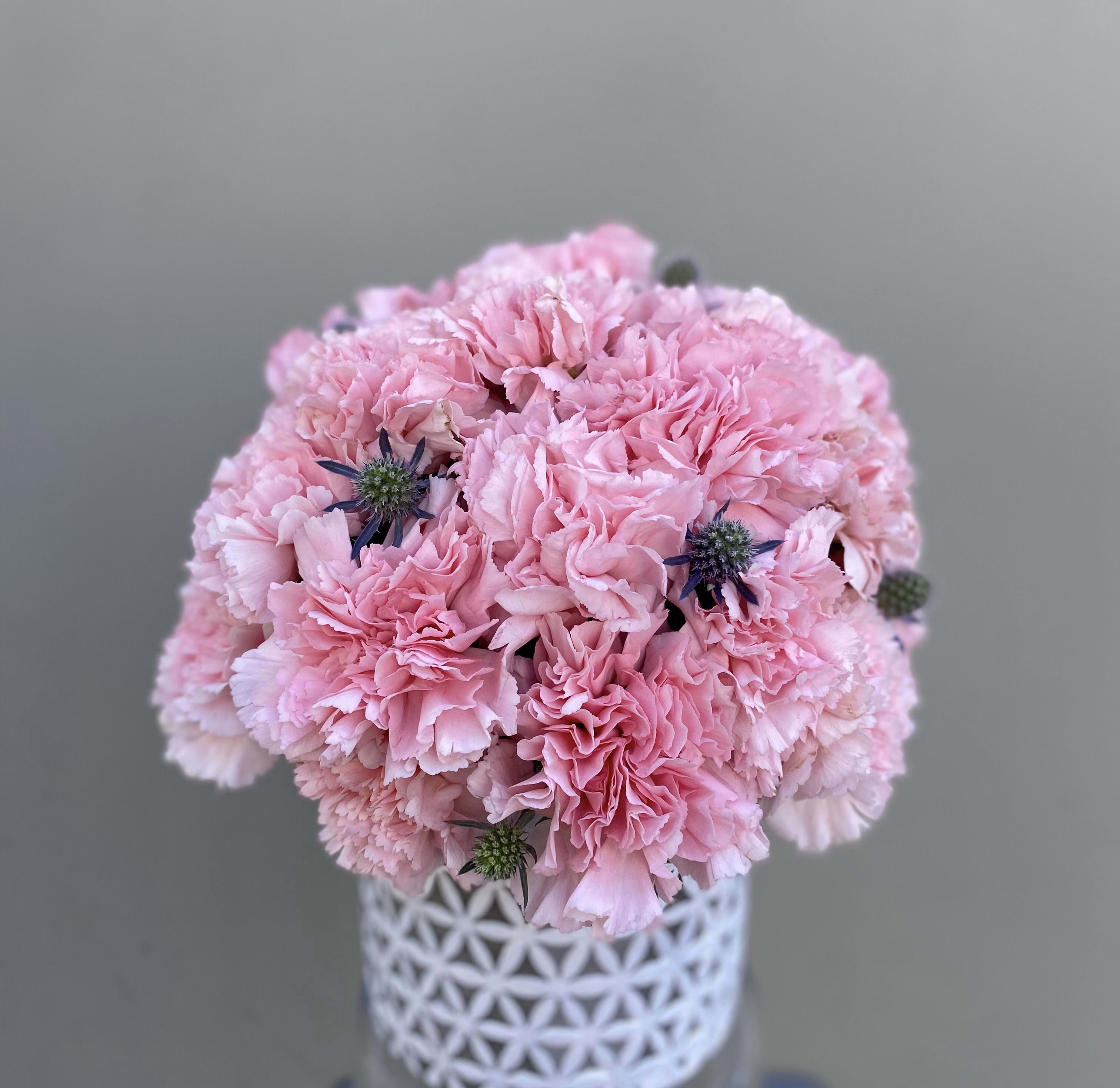 Pettite Love Pettite Love - For that special someone a Pettit array filled with pink carnations.