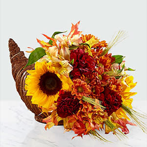 The FTD® Fall Harvest Cornucopia - Fall brings bold colors, crisp winds, and warm moments to share with others. But nothing captures the essence of fall quite like our Harvest Cornucopia. Comprised of vivid red roses, burgundy carnations, yellow alstroemeria and sunflowers, this collection of flowers truly stands out in any room. The natural cornucopia basket speaks of harvest traditions and treasured family gatherings with each gorgeous bloom. GOOD bouquet is approx. 12&quot;H x 11&quot;W. BETTER bouquet is approx. 14&quot;H x 12&quot;W. BEST bouquet is approx. 15&quot;H x 14&quot;W.