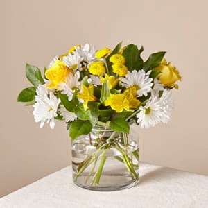 The FTD® Sunny Sentiments Bouquet - This sun-kissed assortment of white and yellow blooms brightens the room with radiance. Whether you want to boost someone&rsquo;s mood or send happiness, this bouquet is just the right pick. Details: - Good bouquet is about 15&quot;&quot;H x 13&quot;&quot;W - Better bouquet is about 17&quot;&quot;H x 14&quot;&quot;W - Best bouquet is a about 18&quot;&quot;H x 16&quot;&quot;W