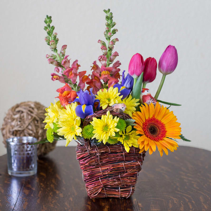 Meadow Romance Meadow Romance - A colorful grouping of primary colors, using Snapdragons, Tulips, Iris and a variety of Daisies.