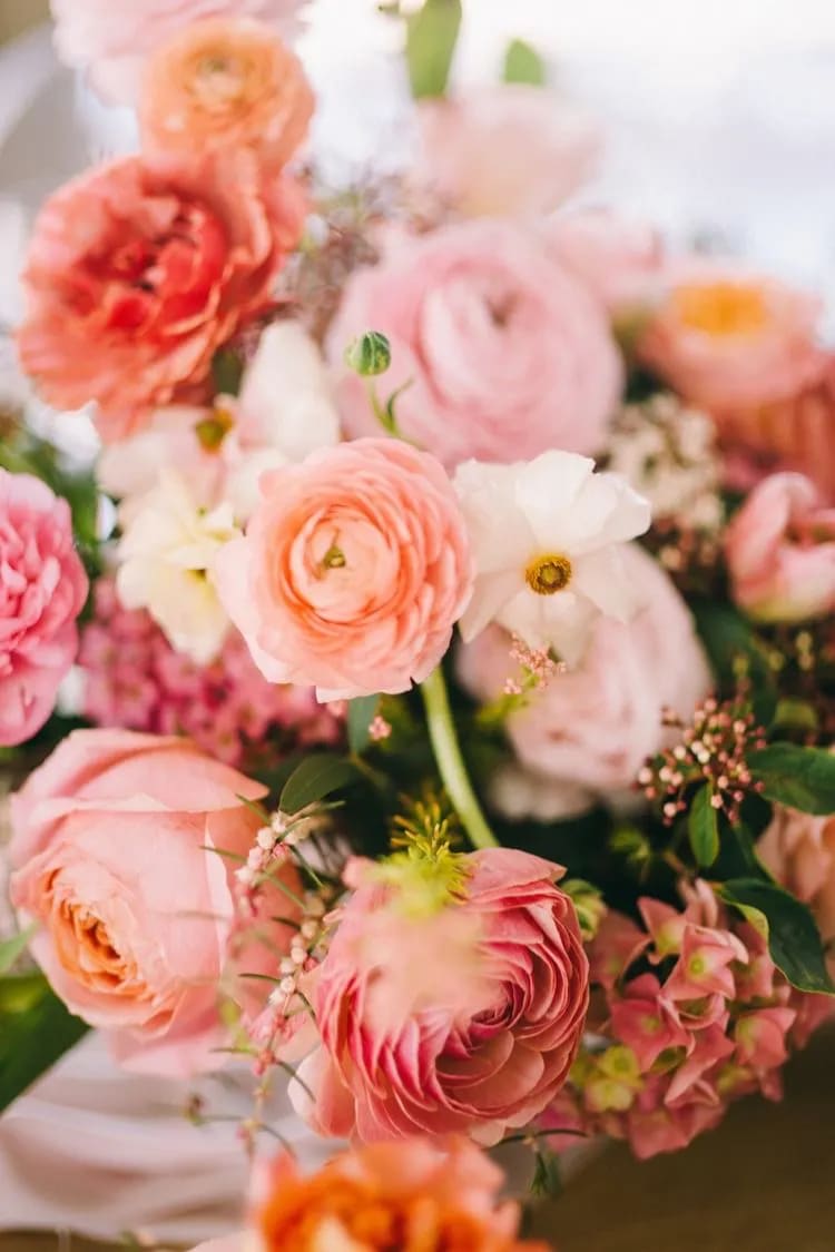 flowers peach roses - Yahoo Shopping