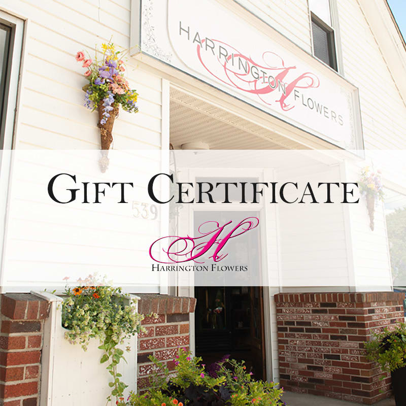 Gift Certificate - Can't decide exactly what to give that special someone? No worries, we have you covered. Give them exactly what they want by extending them an Harrington Flowers gift certificate! Printed and thoughtfully enveloped in our premium custom stationery. ** These can only be used for In-Store Pick-ups or bearer can call the shop.**