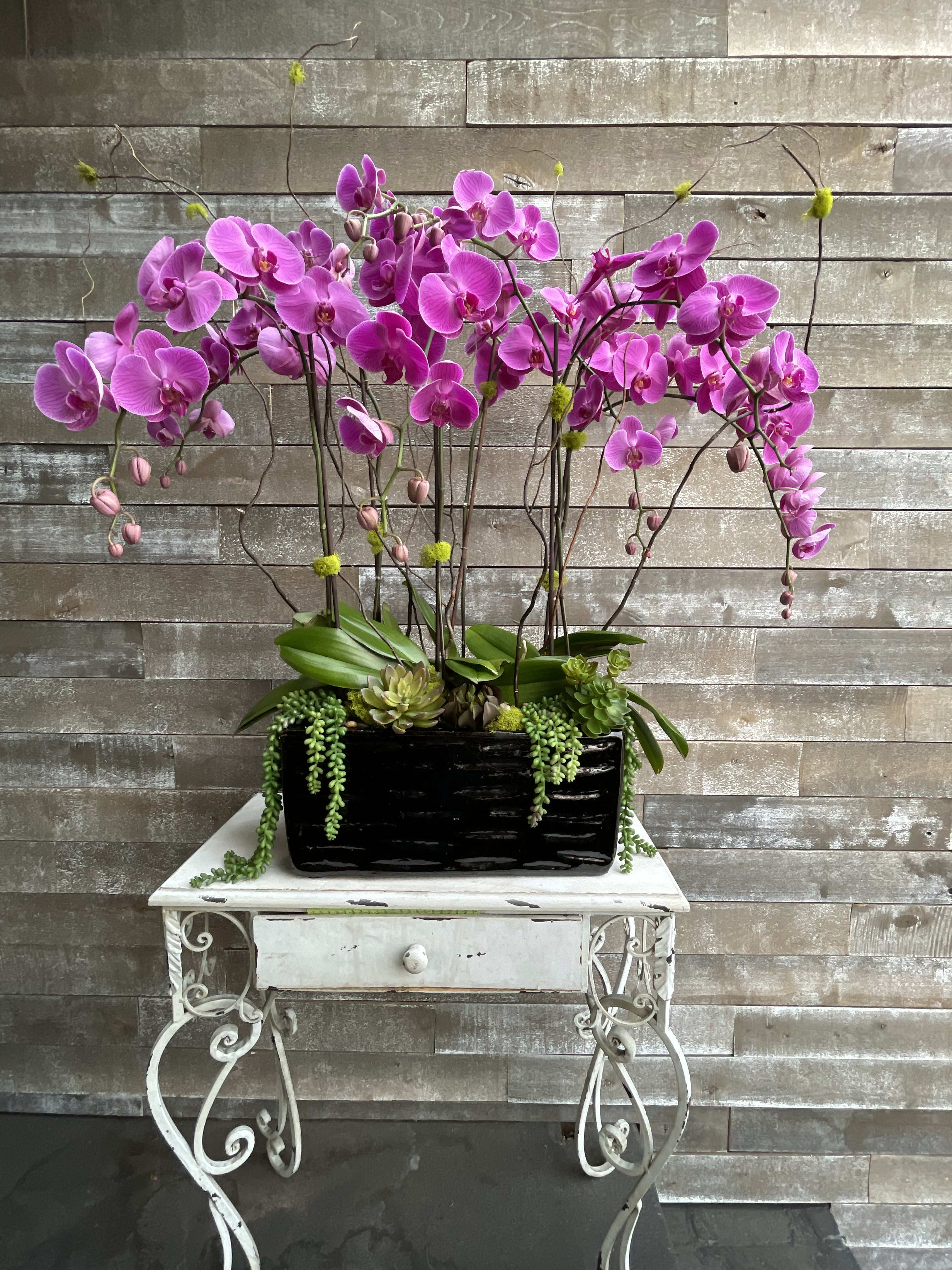 Orcassion - Orchids work for any occasion, choose this gorgeous piece today to send any form of hope and love ❤️ 