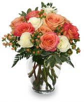 Half Dozen Peach Roses Vase Arrangement Half Dozen Peach Roses Vase Arrangement - Peachy orange and cream colored roses with hypericum berries added in for a pretty soft look
