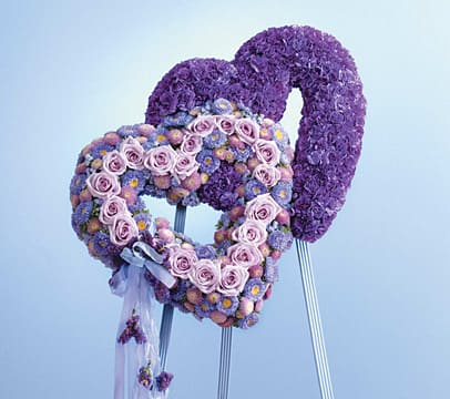 SF27-11 - John Henry Sympathy - SF27-11 HEARTS