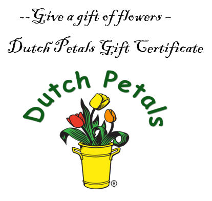 Dutch Petals Gift Certificate - Give the gift of Flowers............ $100 We will deliver a Gift Card to the recipient and they can call the office and order flowers of their liking or pick a beautiful Orchid plant .