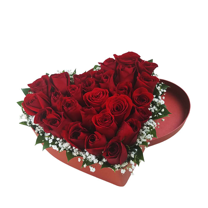 Red rose baby sales