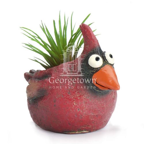 Ruddy Baby Cardinal Bird Planter by Blob House with Air Plant or