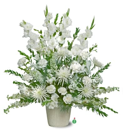 Pure Whites - A beautiful display of all white flowers – including such bright blossoms as gladioli, carnations and stock – will show your thoughtfulness and sentimentality. It’s as clean and pure as a fresh winter snowstorm.