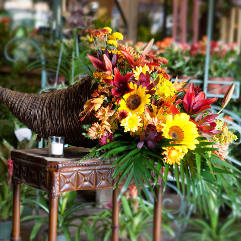 Cornucopia - This is the perfect arrangement for your Autumn decorations!  A fresh mix of Autumn colored flowers arranged in a cornucopia.