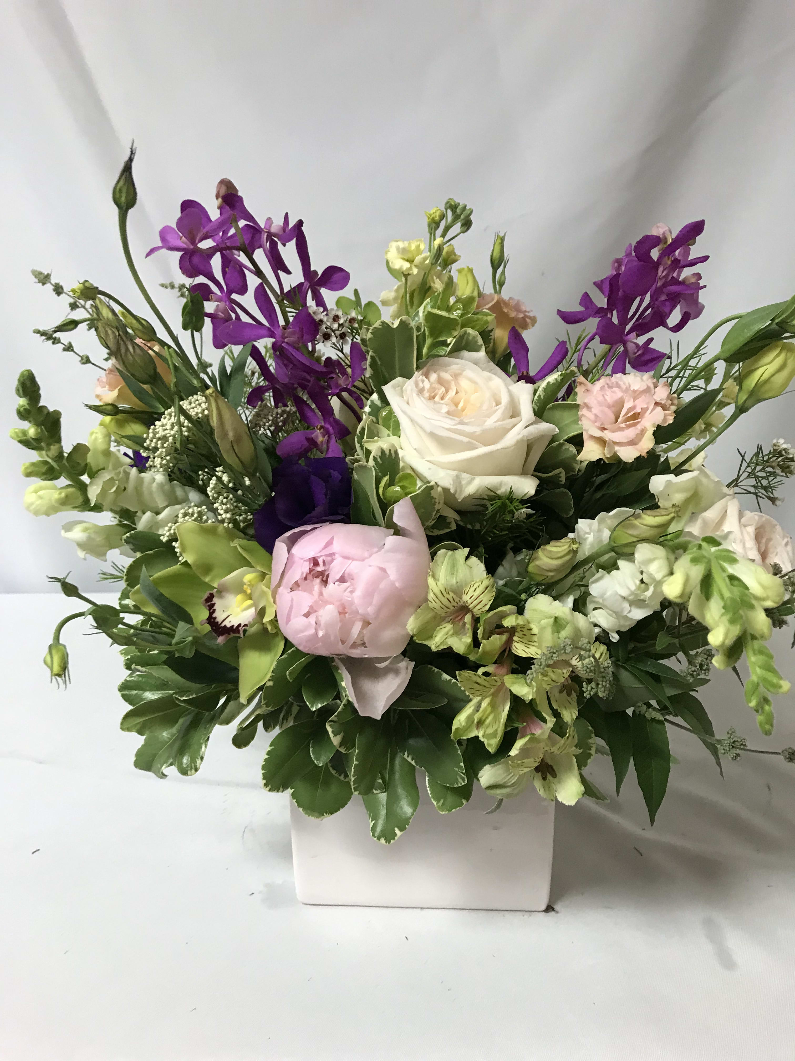 Splash of Spring in Temple, TX Woods Flowers