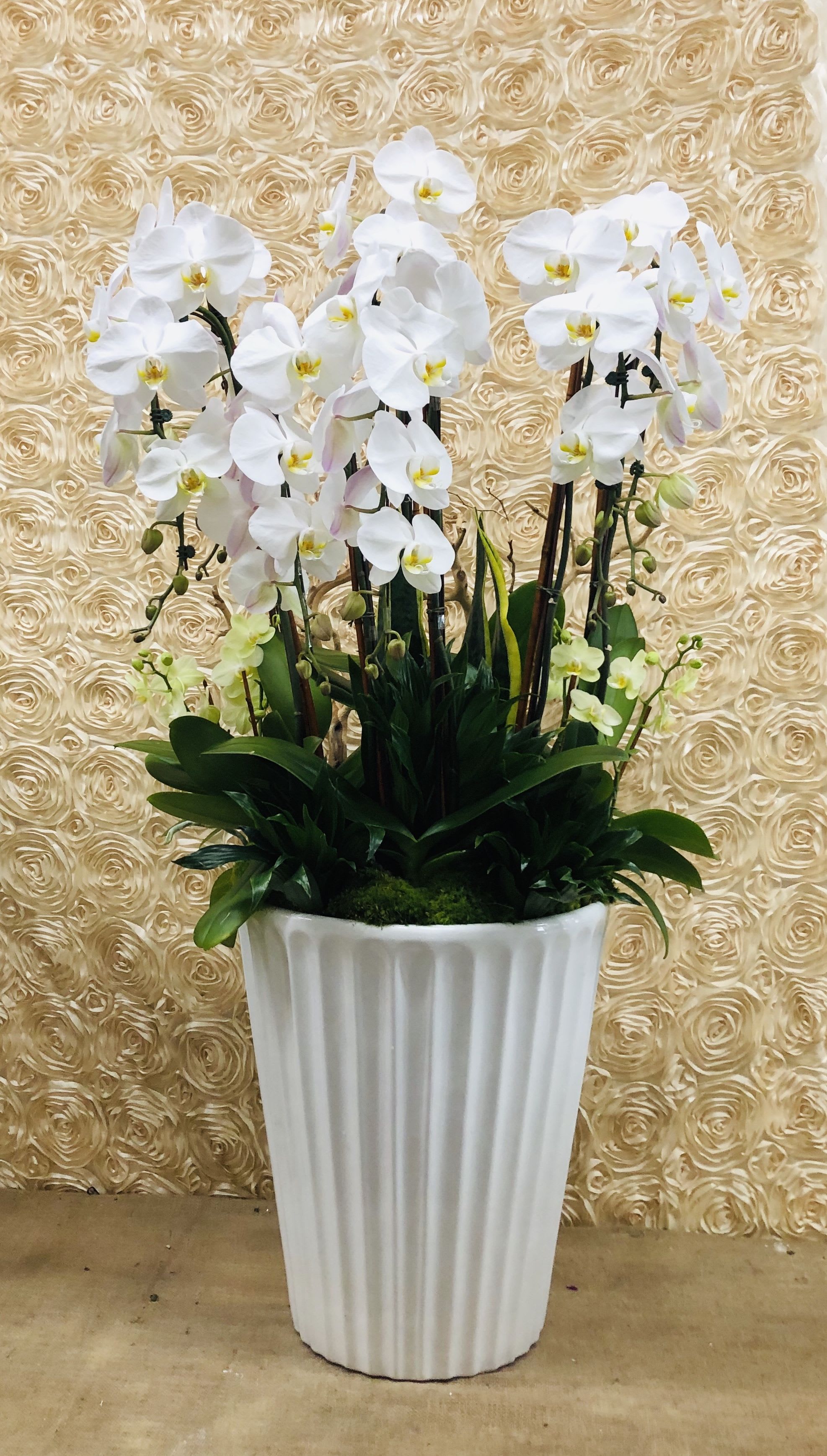 Orchid Dream - A beautiful arrangement filled with white orchid plants  
