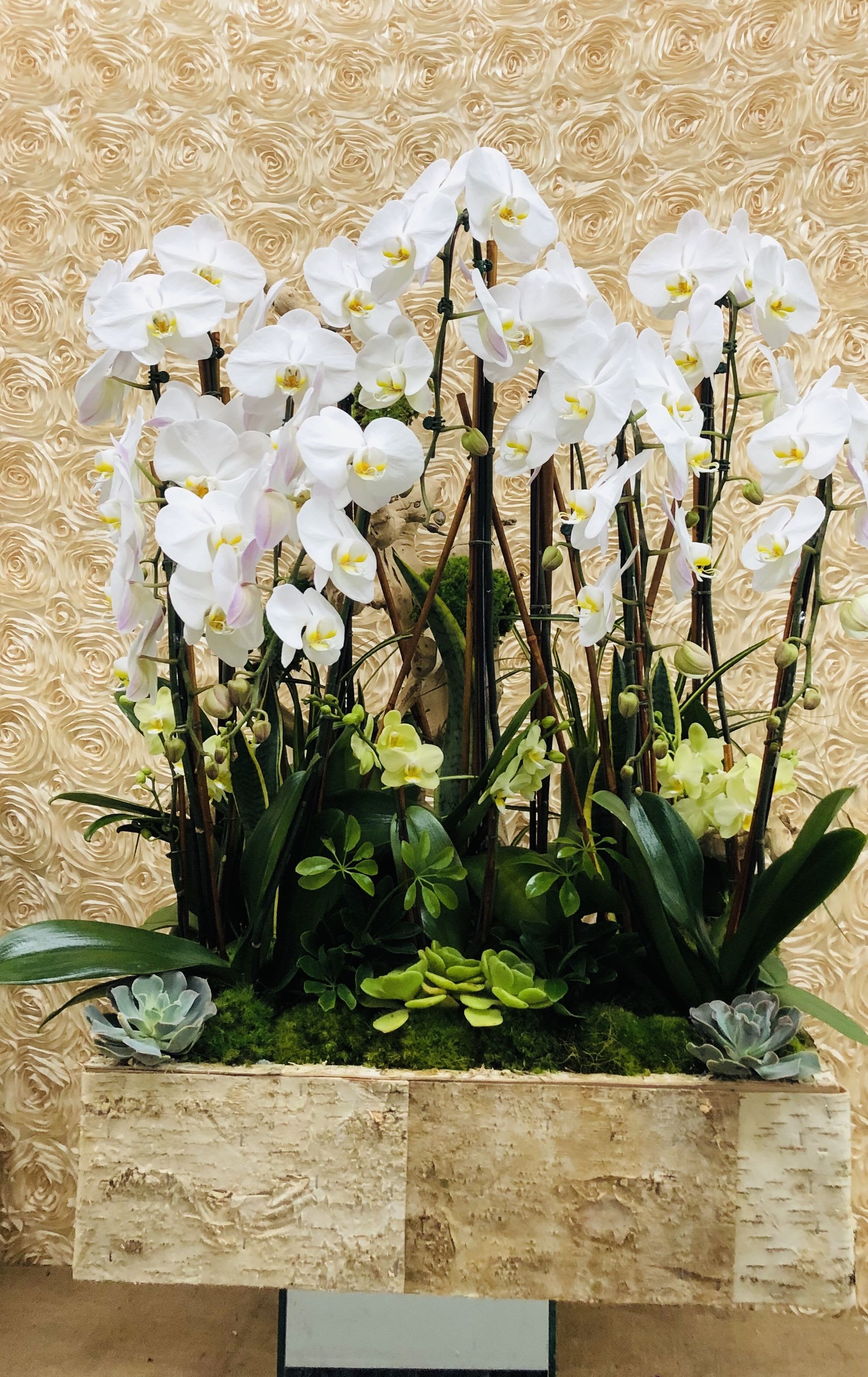Orchid Fantasy - A gorgeous orchid arrangement filled with orchid plants inside a beautiful wooden box.  