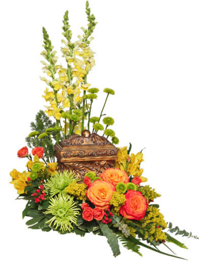 Meaningful Memorial Cremation Arrangement (urn not included) Meaningful Memorial Cremation Arrangement (urn not included) - Lomey Design Tray Wet Floral Foam Foliage: Variegated Pittosporum, Sword Fern, Ming Fern, Eucalyptus, Lily Grass Yellow Snapdragons Green Button Poms Orange Spray Roses Yellow Alstroemeria Solidago Red Hypericum Green Spider Mums Bicolored Orange Roses