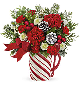 Teleflora's Send a Hug Festive Candy Cane Bouquet Teleflora's Send a Hug Festive Candy Cane Bouquet - Sweet as a candy cane, this festive Christmas gift pairs joyful red blooms with a hand-painted, food-safe ceramic mug that comes with its own matching spoon!