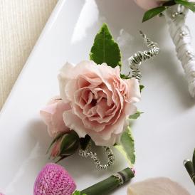 FTD Pink Spray Rose Boutonniere - The FTDÂ® Pink Spray Rose Boutonniere is a beautiful departure from the   standard rose boutonniere. Adding texture and interest, a single pink   spray rose bloom is brought together with variegated ivy and tied   together with a silver metallic wire to create a presentation of simple   elegance. Approx. 4âH x 2âW.   