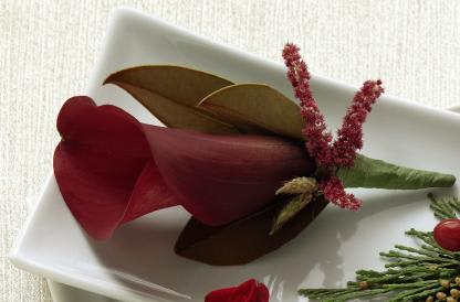 FTD Red Calla Boutonniere - The FTDÂ® Red Calla Boutonniere speaks of a sophistication that will have   the men in your wedding party looking their best. A single red mini   calla lily is accented with red hanging amaranthus and lush greens to   give them a distinguished style. Approx. 5âH x 3âW.   