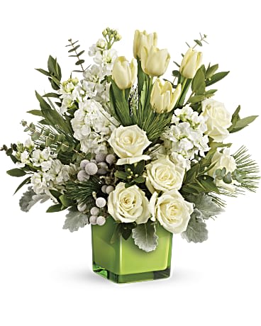Teleflora's Winter Pop Bouquet Teleflora's Winter Pop Bouquet - A stylish pop of winter style, this snow-white bouquet in a fresh green cube dresses up any occasion! White roses, tulips and stock with silver brunia are arranged with dusty miller, spiral eucalyptus, parvifolia eucalyptus, and white pine. Delivered in Teleflora's Leaf Color Splash cube. Orientation: One-Sided