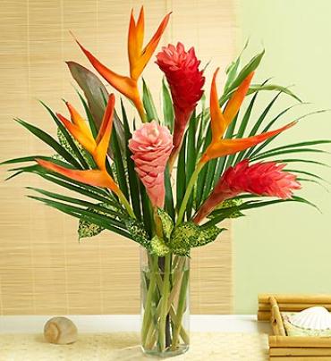 Special Tropical - A simple elegant tropical arrangement with gingers, parrot heliconia and various green ti leaves in a glass vase. Components may vary Check for availability