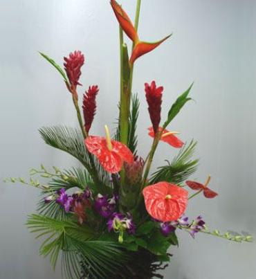 Tropical Elegance - This tropical elegance is an art. This arrangement includes gingers, anthuriums, birds of paradise, purple dendrobeum orchids accented with palm leaves and salal. 