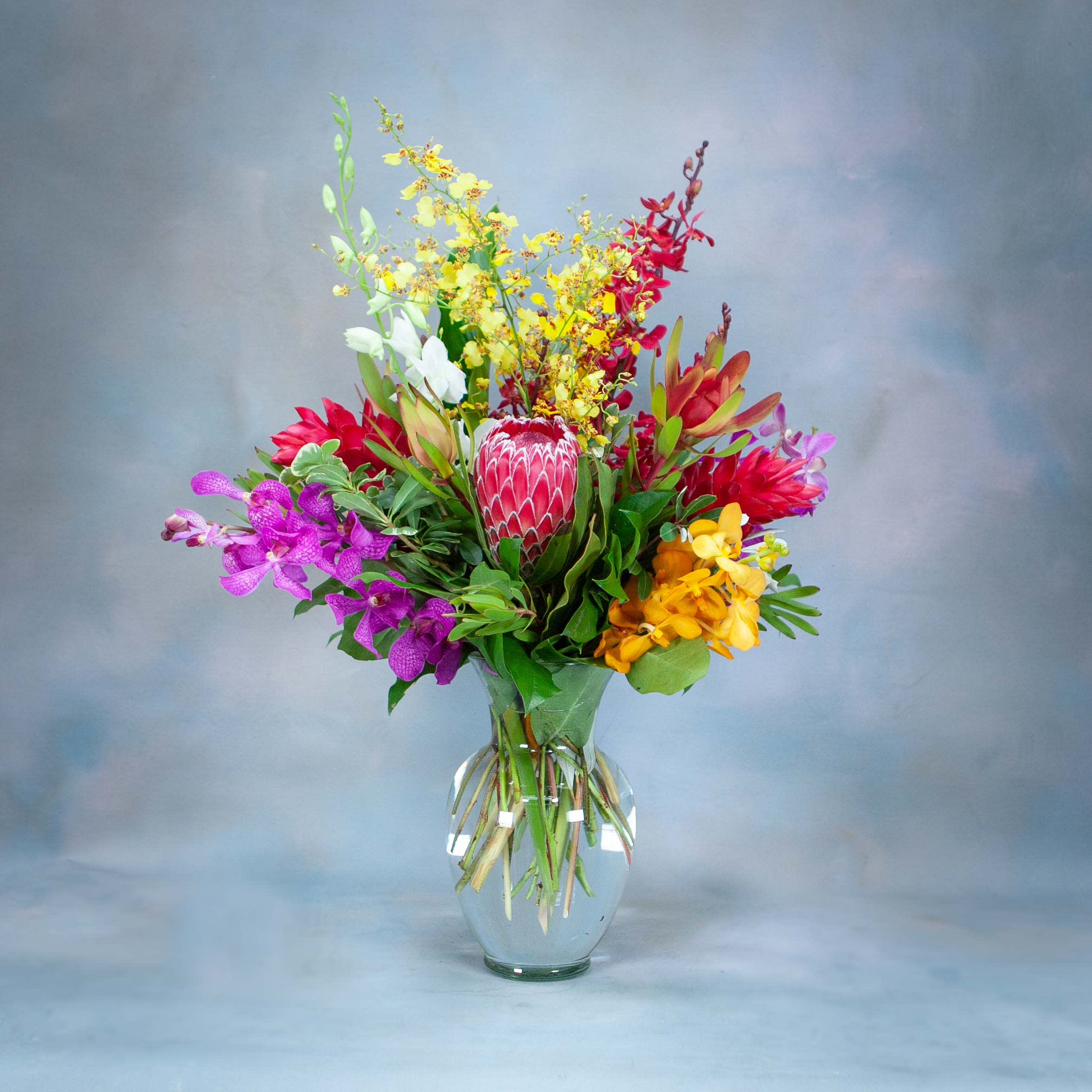Tropical Protea Delight (SF336) - A unique and stunning arrangement filled with tropical flowers and lush greens.  In this arrangement: - 2 Cerise Candida proteas - 2 red ginger - 10 stems of mixed orchids (mokara, jamestory, dendrobium, oncidium) - Safari sunsets and other assorted fresh greenery