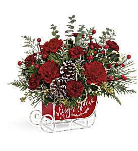 VINTAGE SLEIGH RIDE BOUQUET - Dashing through the snow in a flower-filled open sleigh! Fun and festive, this vintage metal keepsake sleigh is the perfect vehicle for a joyful holiday bouquet.  Red carnations, miniature red carnations and white limonium are accented with cedar, spiral eucalyptus, white pine, seeded eucalyptus and variegated holly. Delivered in Teleflora's Vintage Sleigh Ride Keepsake. Approximately 13 1/2&quot; W x 12 1/2&quot; H