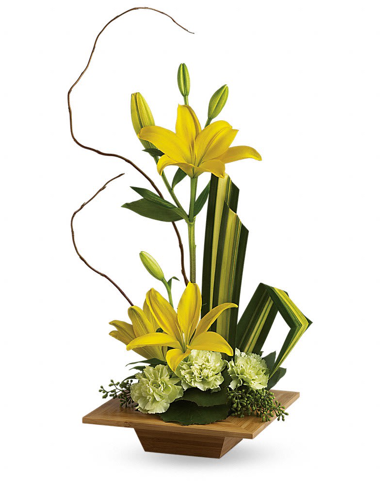 Teleflora's Bamboo Artistry - Give the gift of serenity with a graceful contemporary bouquet artistically arranged in an exotic dish made of real bamboo. A lovely surprise no matter where or Zen. The stunning bouquet includes yellow asiatic lilies and green carnations accented with tropical greenery. Delivered in a hand-crafted dish made of high-quality bamboo.