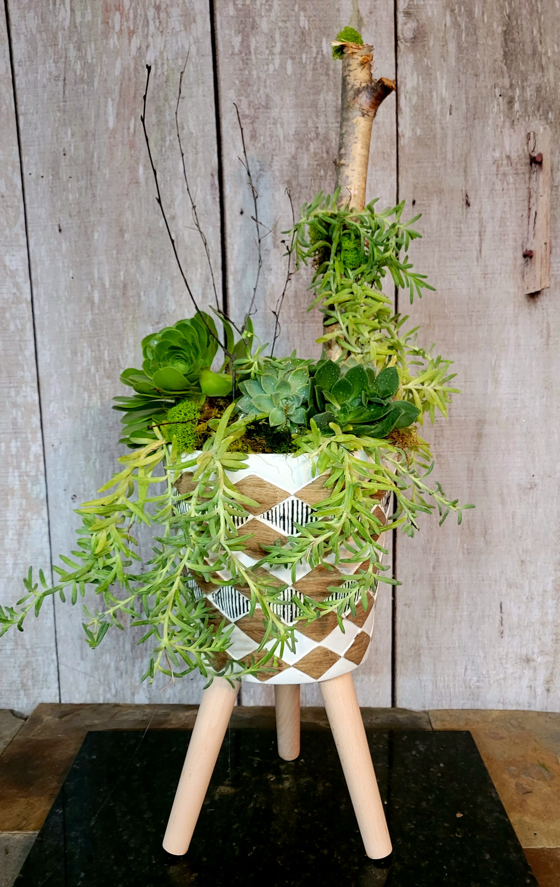Succulent Love - This beauty is hand created by me.....the container will change as I get them per order, so supplies change.  With that said, the style, feel and vailue of this succulent creation will wow the recipient no matter what. Trust me, and the floral world is yours!