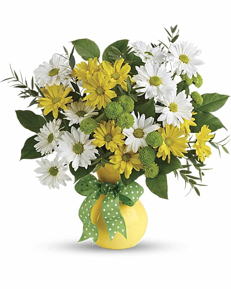 Teleflora's Daisies And Dots Bouquet - Spread sunshine with this burst of delightful daisies and fresh greens, arranged in a bright yellow vase that's tied with a cheerful polka dot ribbon! This happy bouquet includes white and yellow daisy spray chrysanthemums, green button spray chrysanthemums, lemon leaf, and parvifolia eucalyptus. Delivered in a yellow Serendipity vase.