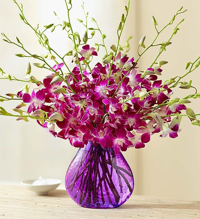 Exotic Breeze Orchids - Our rich purple orchids bring on the breezy beauty of a tropical day. Fresh and long-lasting, this eye-catching Dendrobium bouquet is a piece of paradise they’ll always remember. Send a bouquet of 10 or double the delight with 20 colorful blooms.