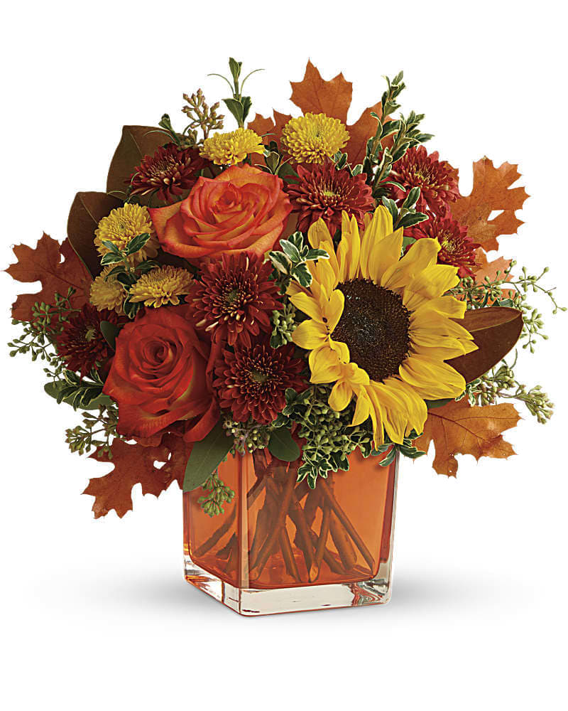 Teleflora's Hello Autumn Bouquet Teleflora's Hello Autumn Bouquet - Sunny sunflowers and radiant roses in a happy orange cube vase bring joy to any fall décor! This bright bouquet includes orange roses, yellow sunflowers, gold cushion spray chrysanthemums, rust cushion spray chrysanthemums, seeded eucalyptus, oregonia, and magnolia leaves. Deliverd in an orange cube.