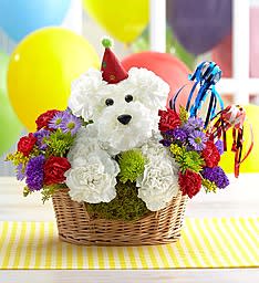 Another Year Rover™ - Put this playful pooch on the invite list for their next birthday bash! Our signature a-DOG-able® arrangement arrives ready to party 'til the dogs come home, with his adorable party hat and horns. Surrounded by a mix of cheerful, colorful blooms, he delivers your best wishes for another year filled with smiles!