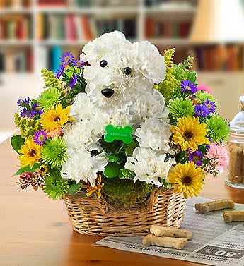 1800 flowers puppy sales