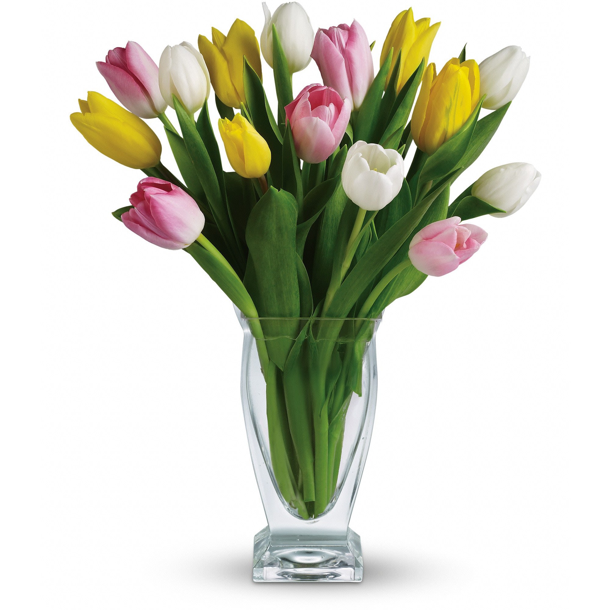 Teleflora's Tulip Treasure Teleflora's Tulip Treasure - There's no reason to tiptoe around the sheer delight of tulips! And if you're lucky enough to have a treasure-trove of tulips like this one at your fingertipsâ¦what are you waiting for? Lovely light pink, white and bright yellow tulips are delivered in a deluxe Couture Vase. Approximately 14" W x 17" H Orientation: All-Around As Shown : T142-1A Deluxe : T142-1B Premium : T142-1C
