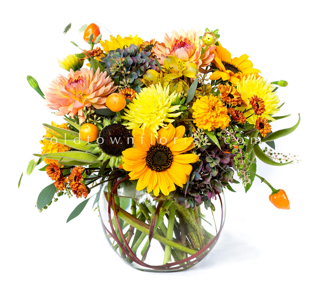Petals florist portland outlet