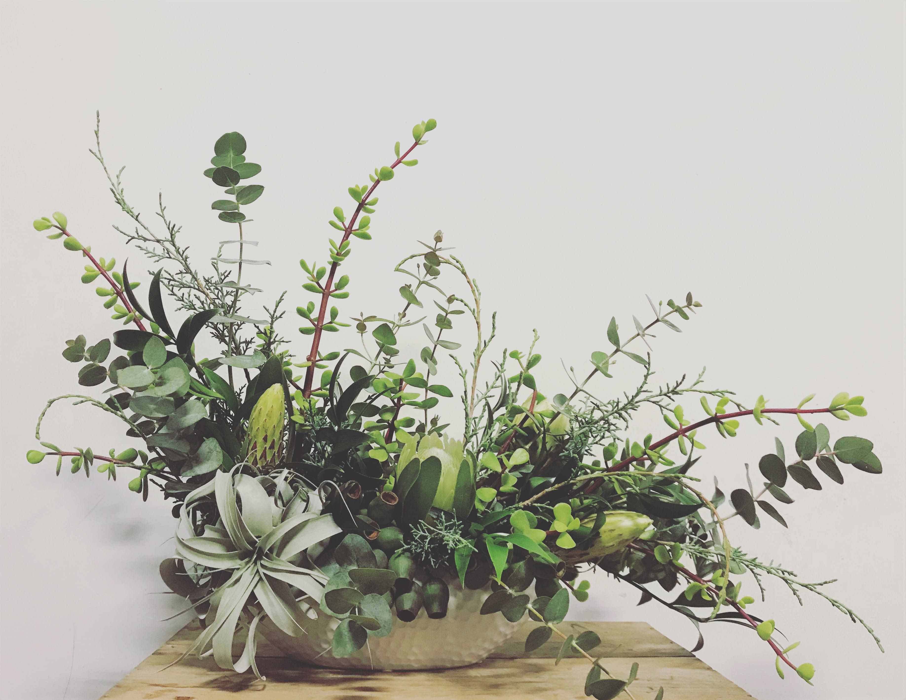 Sans Fleur Sans Fleur - Long lasting green arrangement with succulents, tillandsia and seasonal greens.
