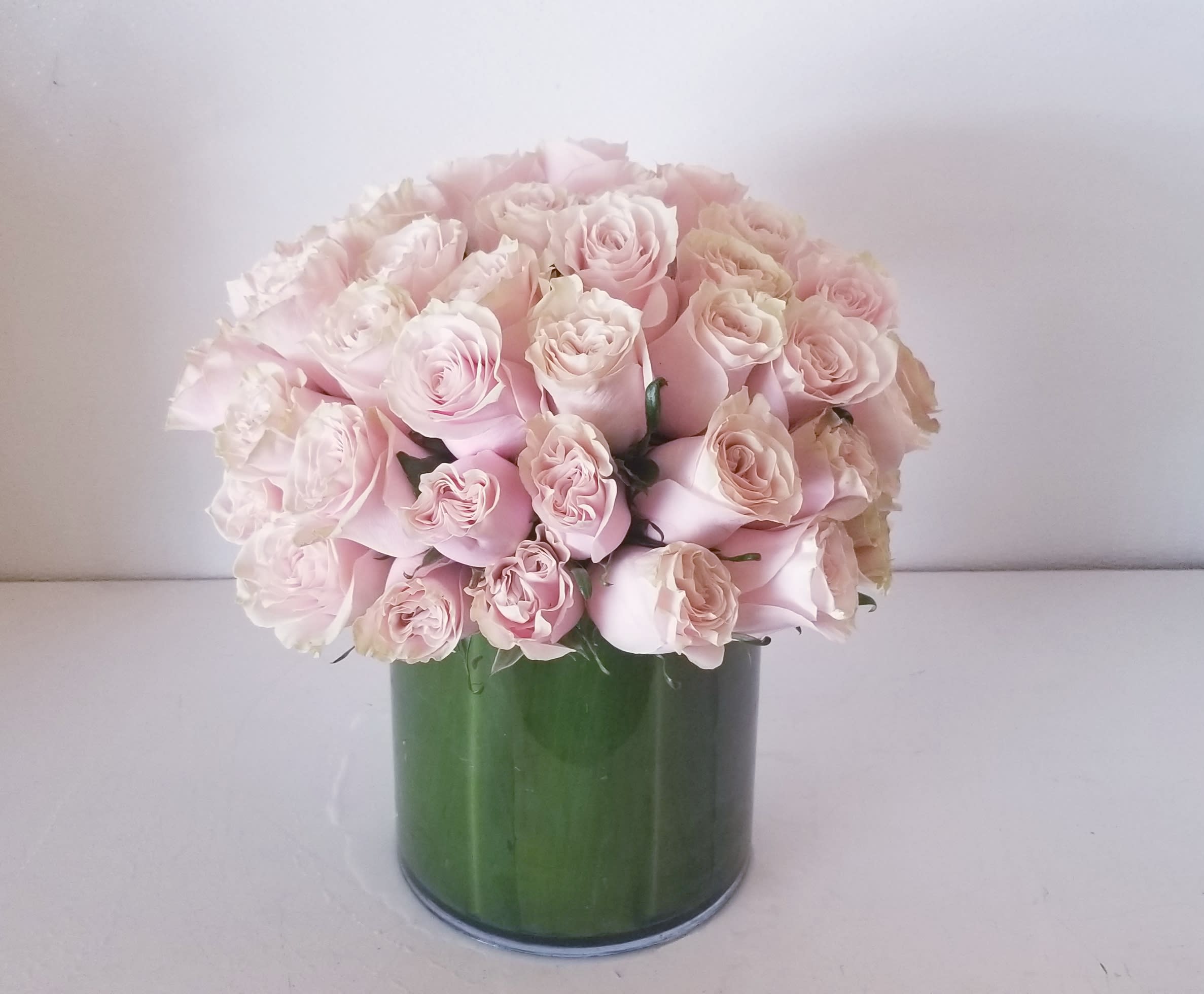 Roseate - Low and lush arrangement composed of soft pink roses designed in a semi tall cylinder lined with green t-leaf.