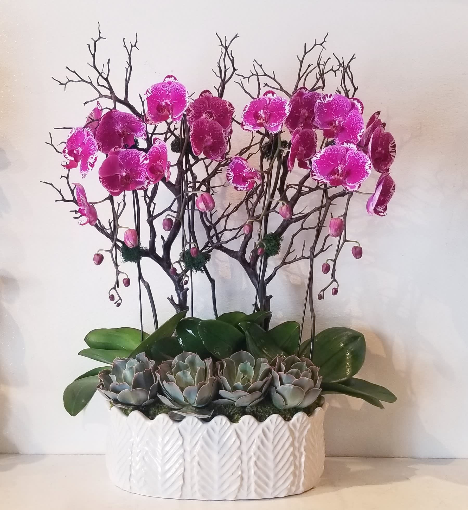 Grand Purple Orchid Planter - Four cascading phalaenopsis orchid plants designed in a white ceramic container with succulents and manzanita branch.