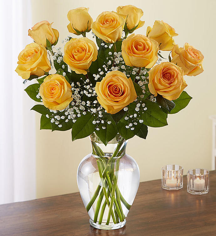 Yellow Roses Yellow Roses - Dozen Yellow Roses Arranged with babies breath
